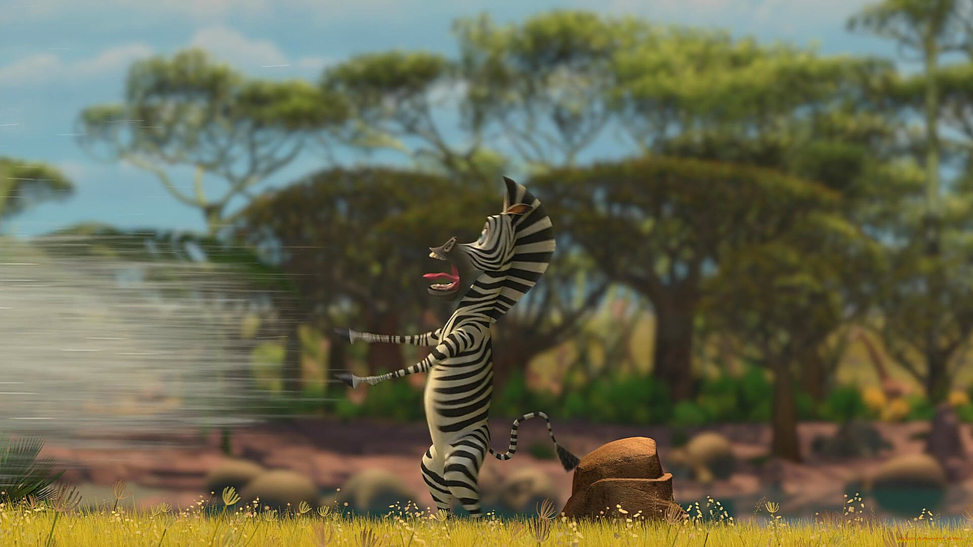 Мадагаскар мультфильм Зебра